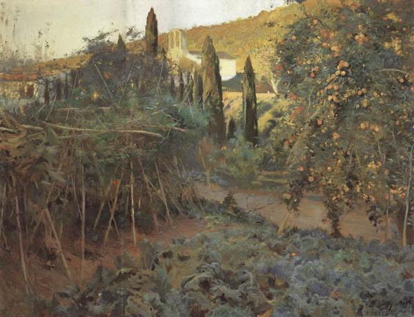 Joaquin Mir Trinxet The Hermitage Garden oil painting image